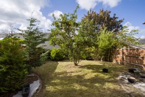 Photo 6- click for photo gallery